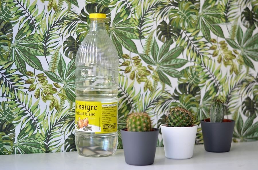 Atouts du vinaigre blanc